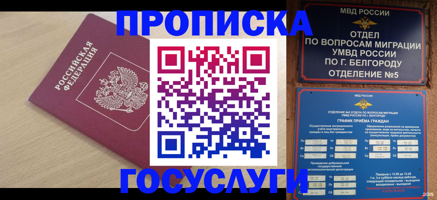 прописка законно в Выборге